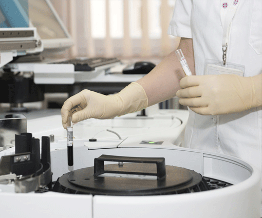 Laboratory and Analytical Services